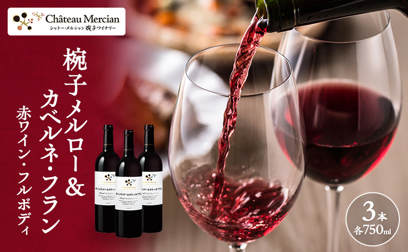 ワイン 椀子メルロー カベルネ フラン 750ml